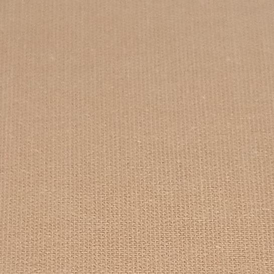 Light Beige Transtape