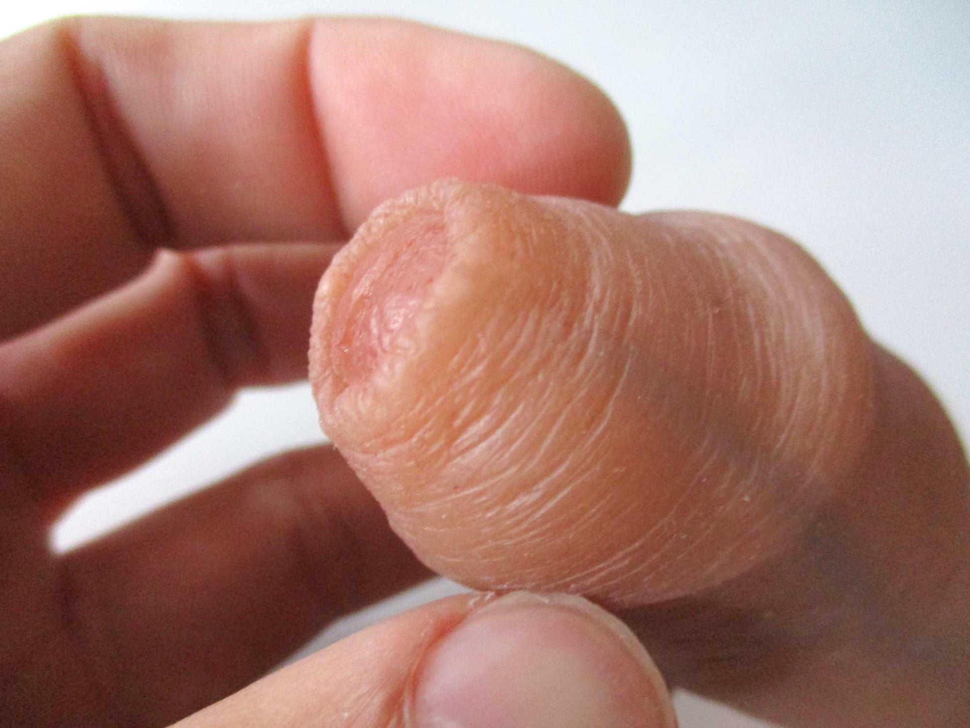 Close-up of a hand holding the tip of a realistic, flesh-toned silicone dildo, showing its texture and detail