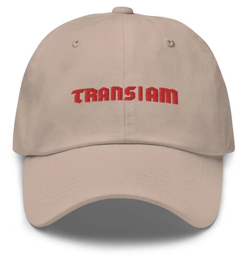 Trans I Am Dad Hat