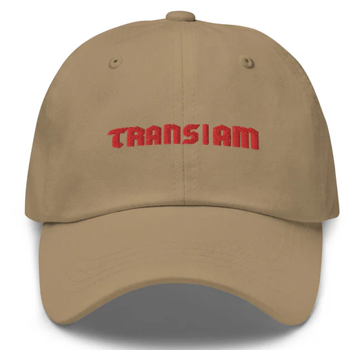 Trans I Am Dad Hat