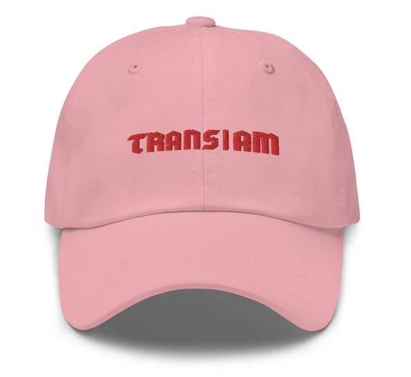 Trans I Am Dad Hat