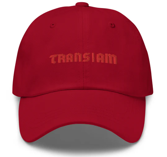 Trans I Am Dad Hat