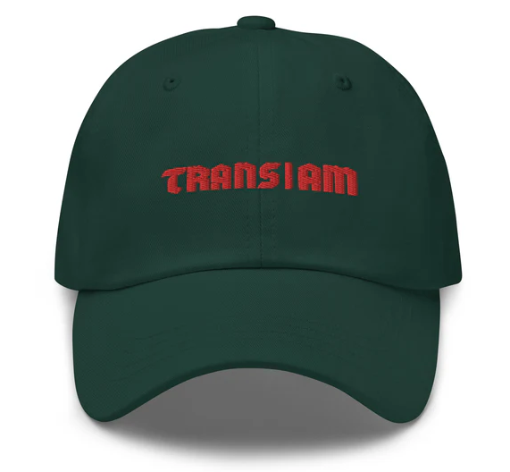 Trans I Am Dad Hat