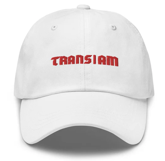 Trans I Am Dad Hat